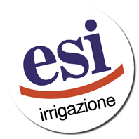 ESI